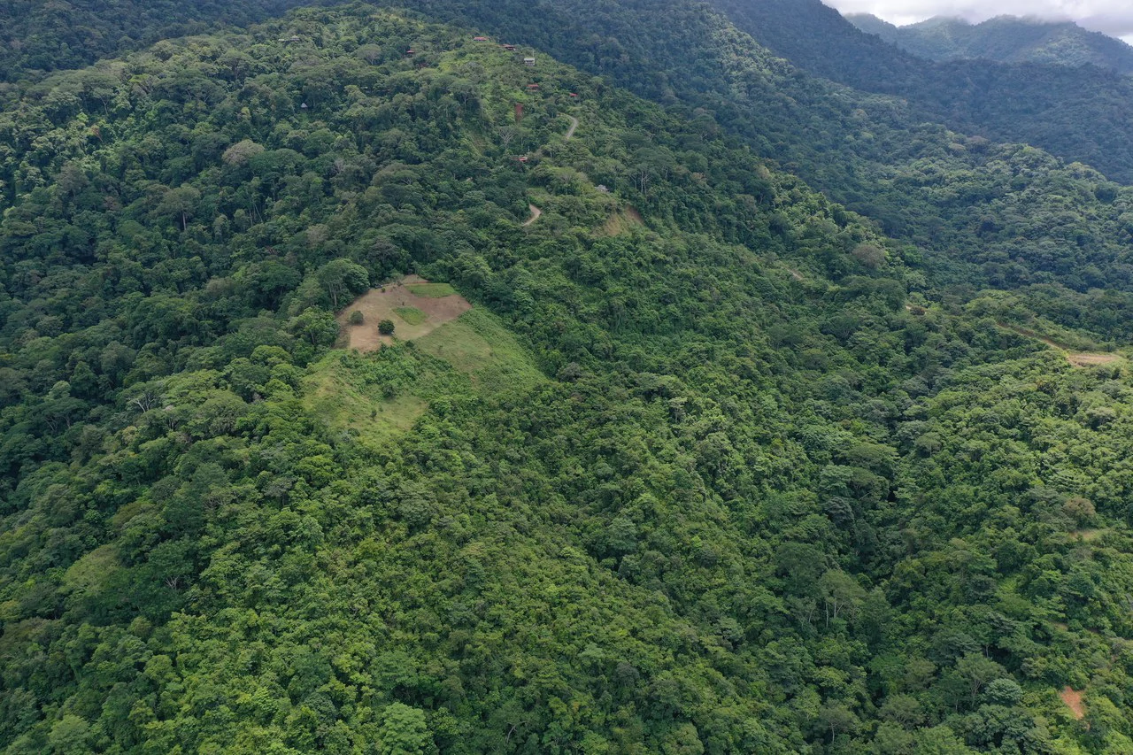 137 Acre Ocean View Farm with Riverfront in Southern Costa Rica - Gallery image 14