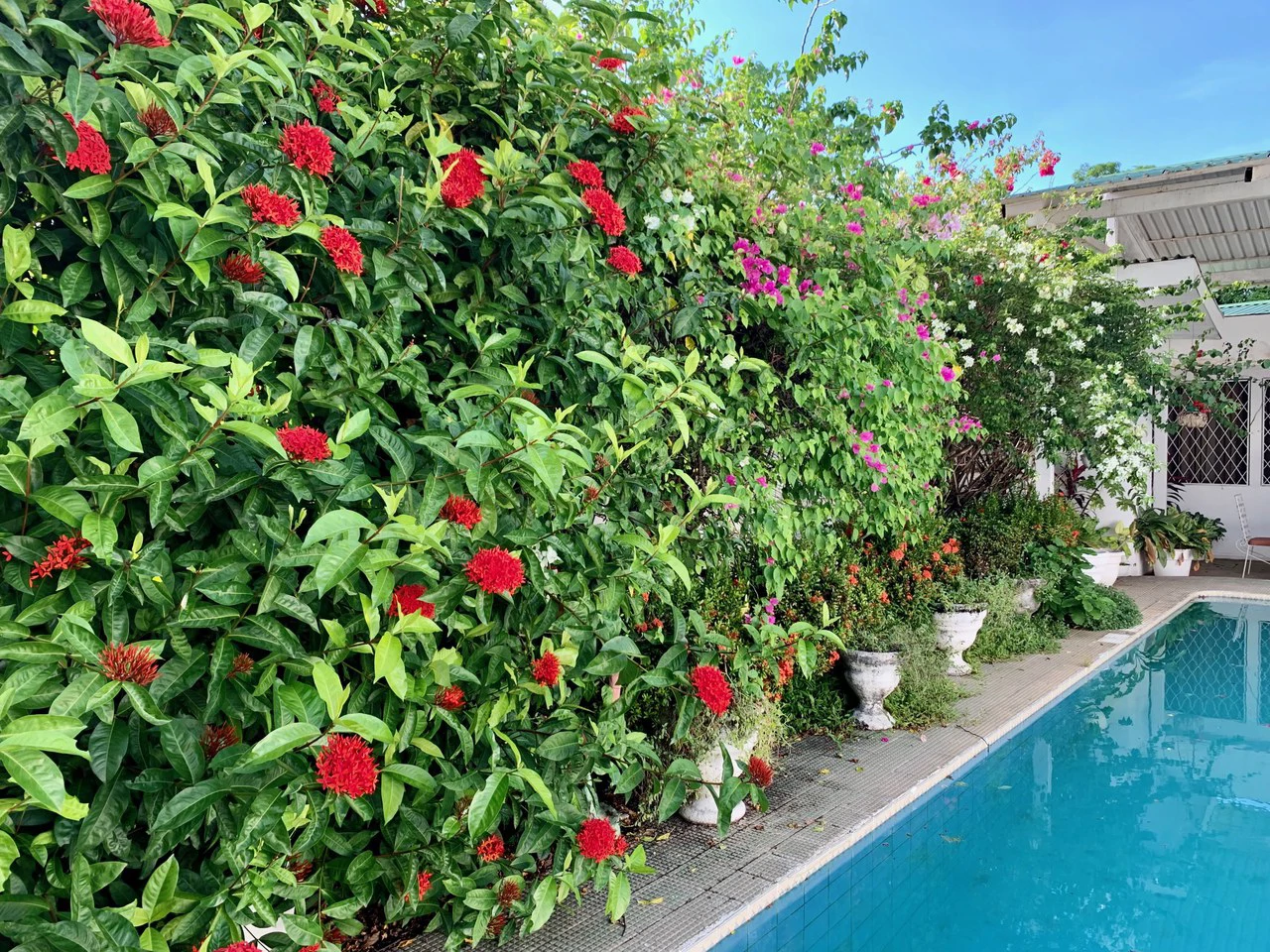 Land for sale to develop with house Liberia Guanacaste Costa Rica - Gallery image 14