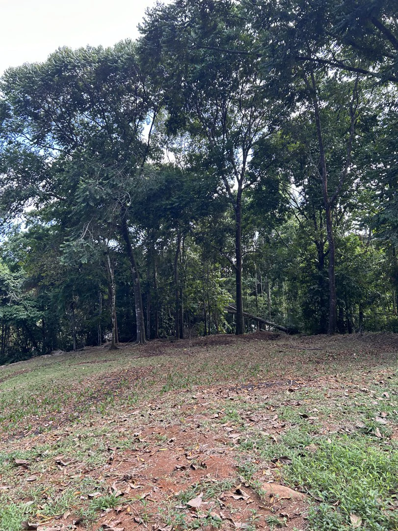 Cabo Matapalo: Jungle View Lot Priced To Sell! - Gallery image 30
