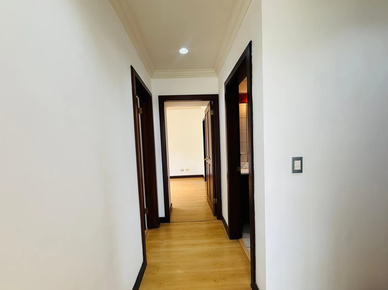 Sale of Apartment in Brasil de Mora San José Costa Rica - photo 6