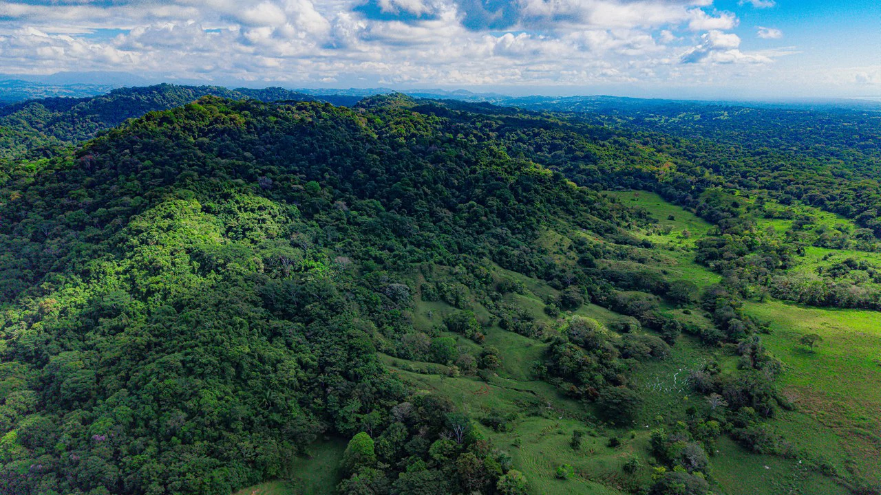 4,850 Acre Beachfront Legacy Ranch Esterillos Central Pacific Coast - Gallery image 7