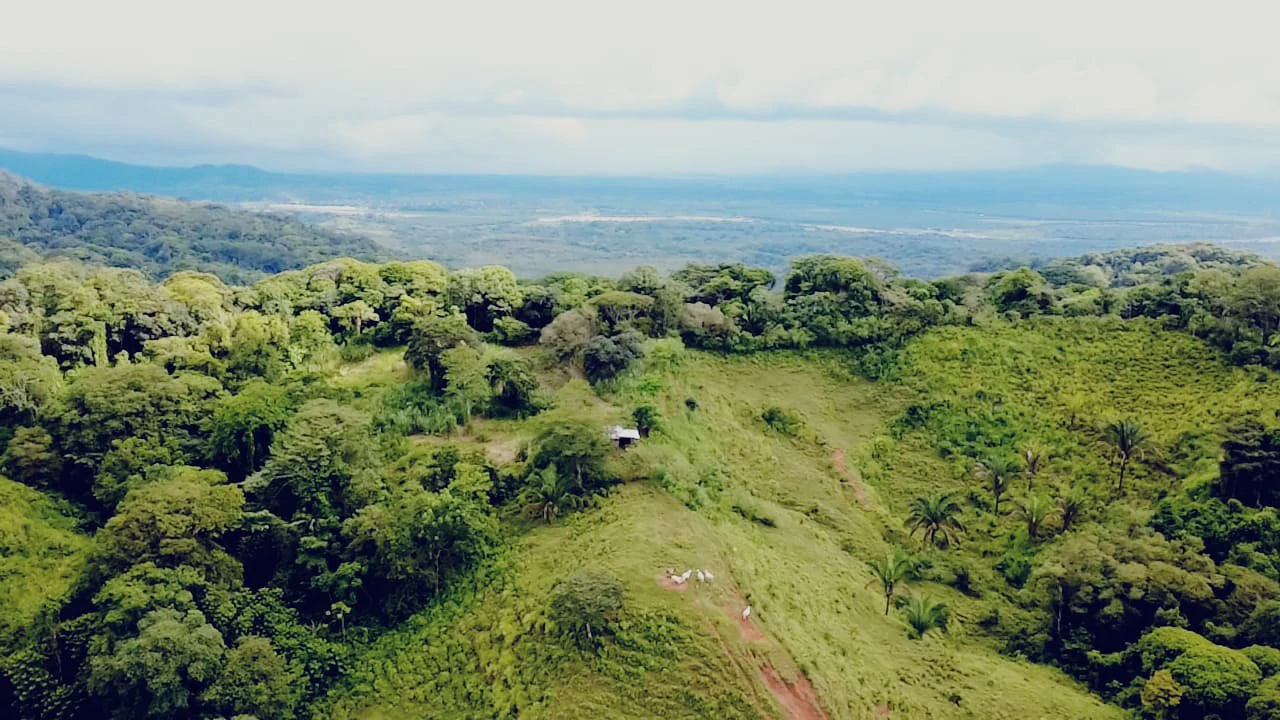 Near the Coast Home Construction Site For Sale in Osa - Gallery image 11