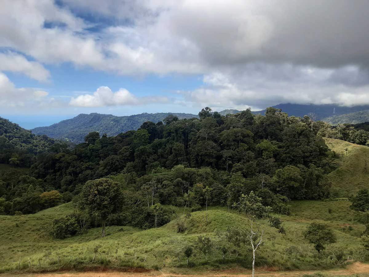 Finca Tesoro Escondido - The Jewel of Uvita - Gallery image 2