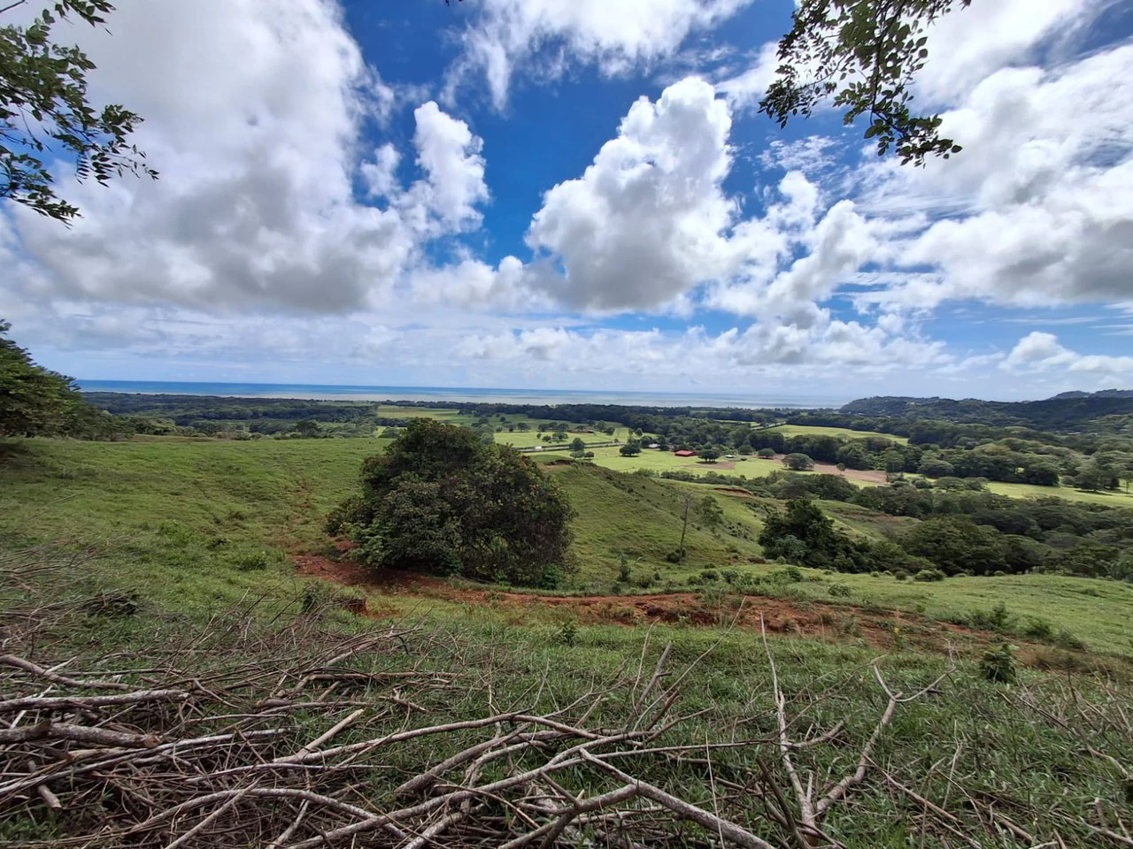 Hilltop Ocean Paradise: 10 ha with Ocean Views! - Gallery image 8