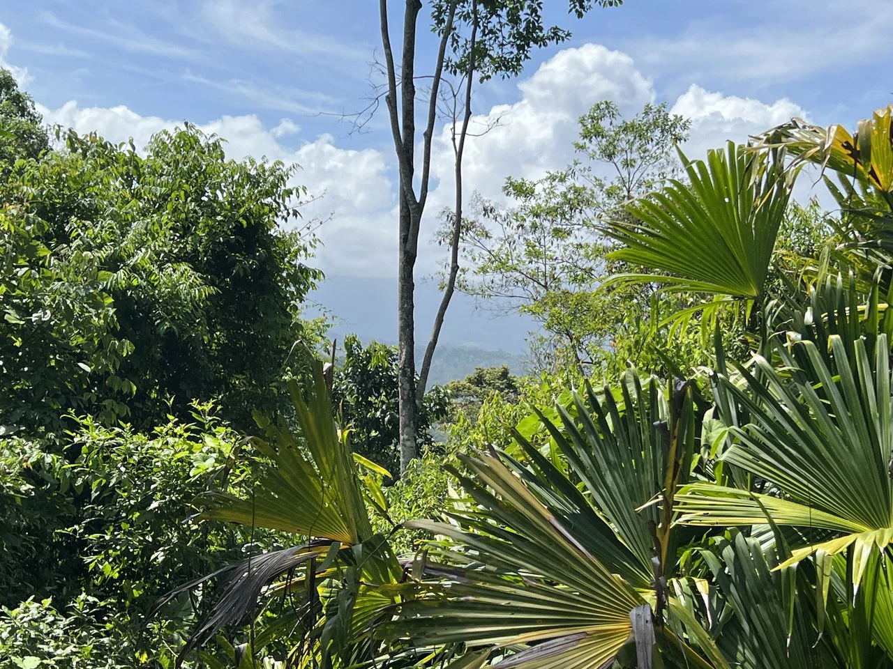 Affordable Home Building Site in Lagunas