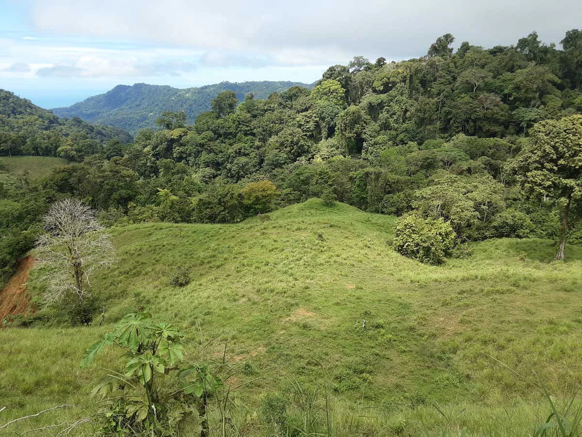 Finca Tesoro Escondido - The Jewel of Uvita - Gallery image 38
