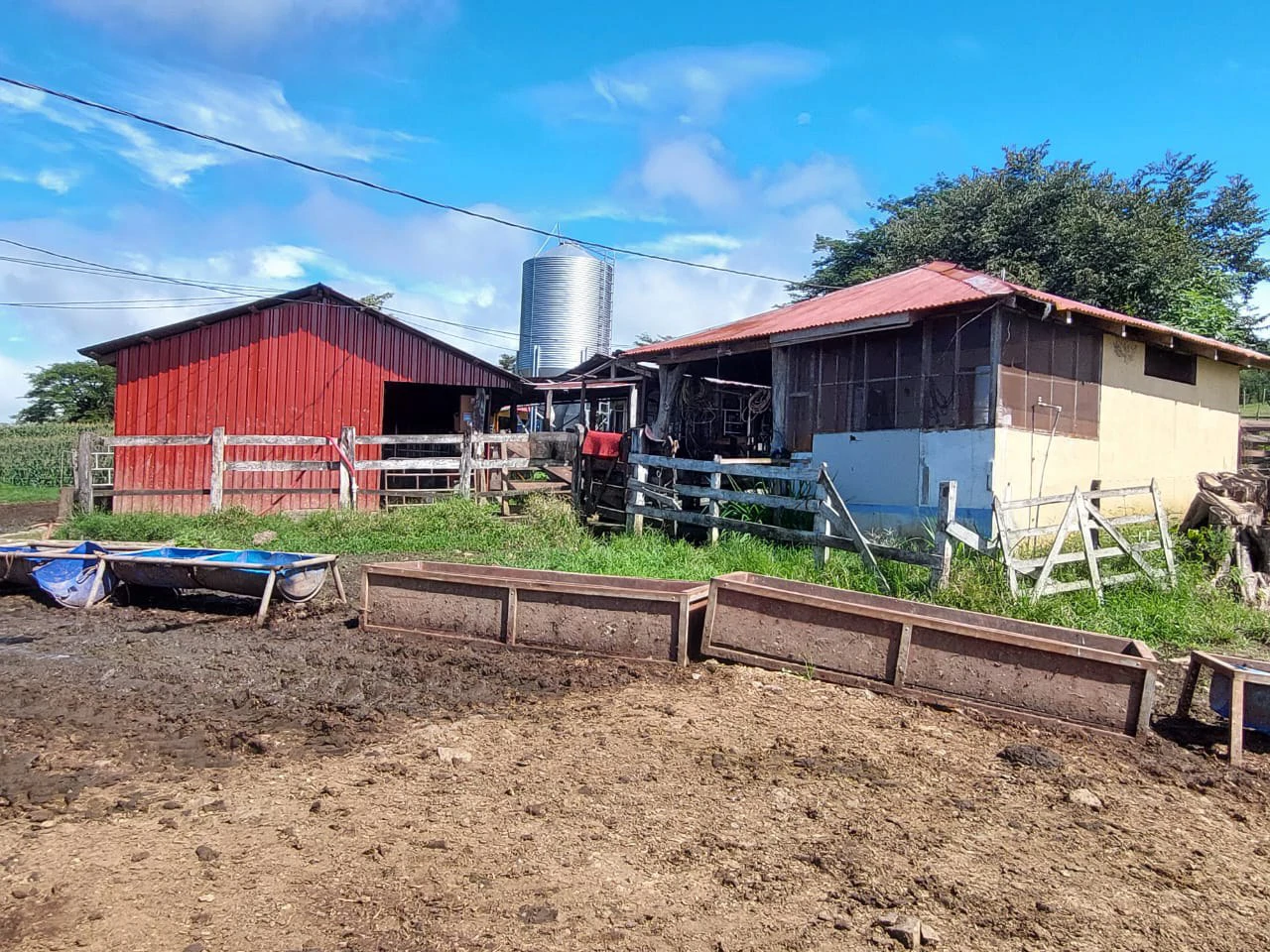 HACIENDA LOMBARDIA : Fully Operating Livestock Business - Gallery image 22