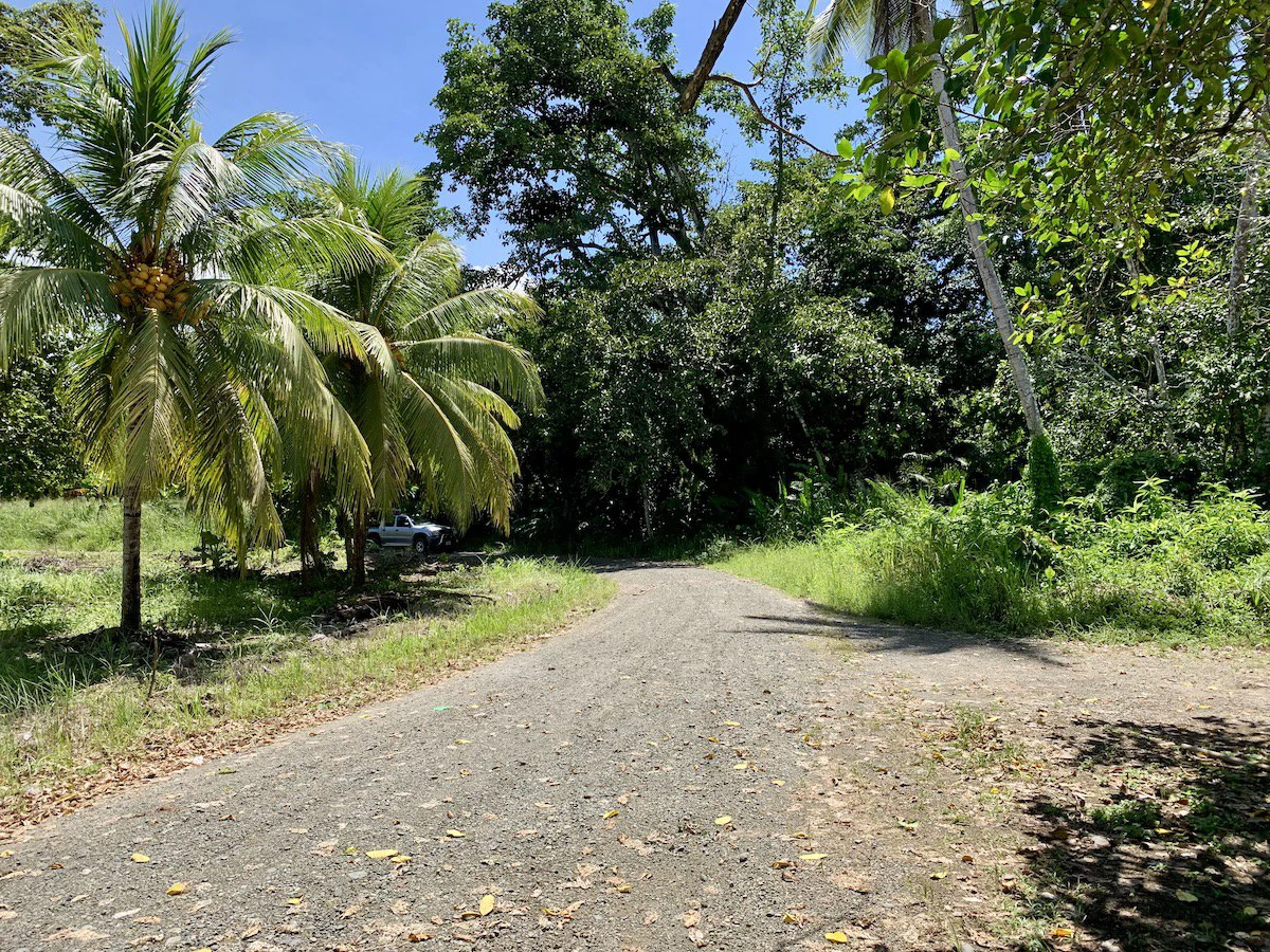Titled Property Near The Golfo Dulce Coast - Gallery image 6