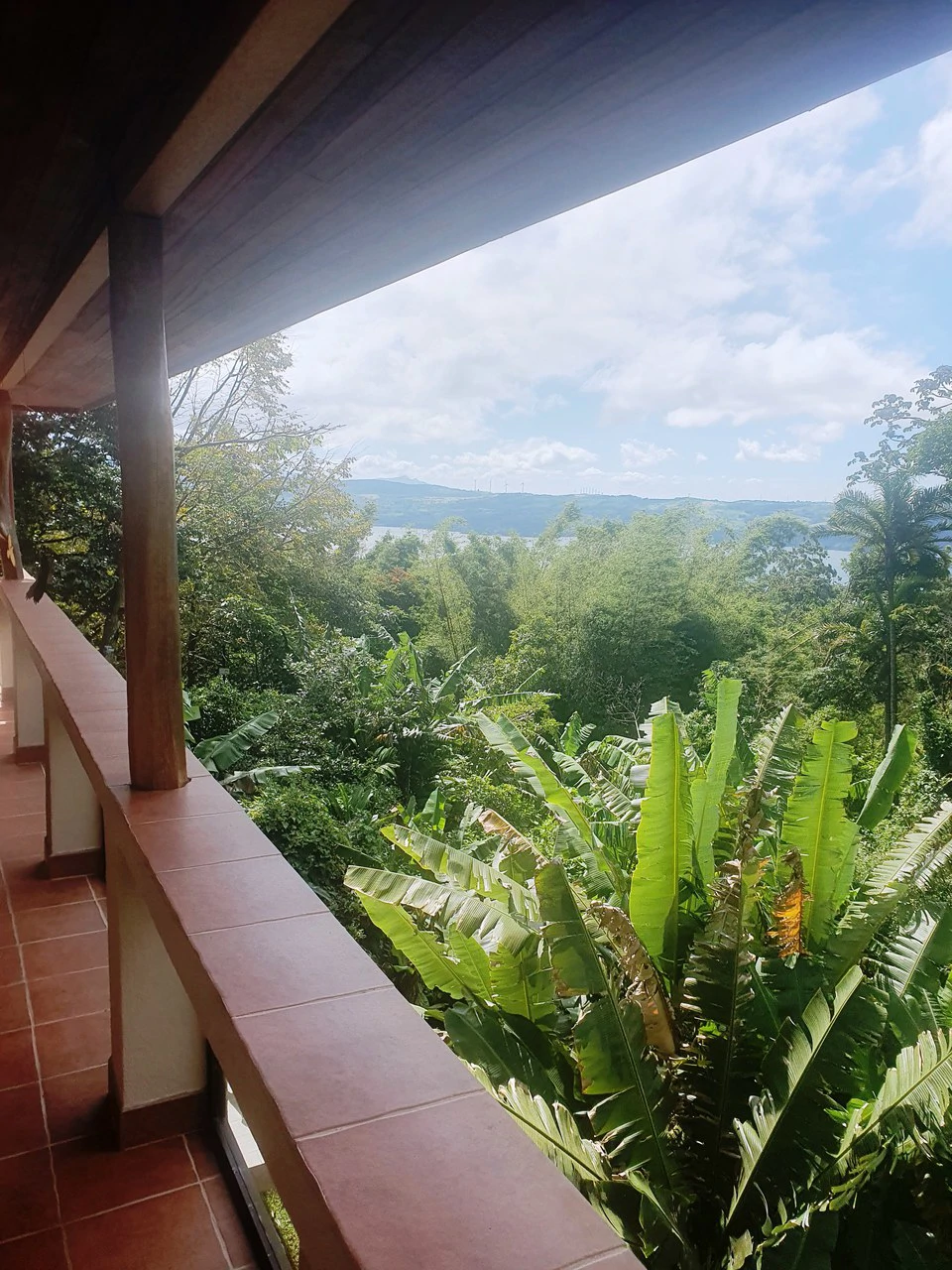 Lakeview Serenity Estate - Two Family Home: Stunning Lakeview Two-Family Home on 3,600 m² – Privacy, Nature & Income Potential - Gallery image 3