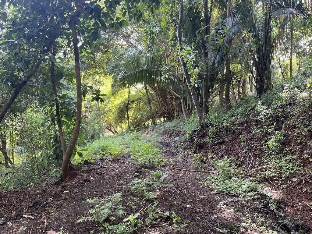 Oceanfront Home Construction Site For Sale in Playa Coyote - Gallery image 2