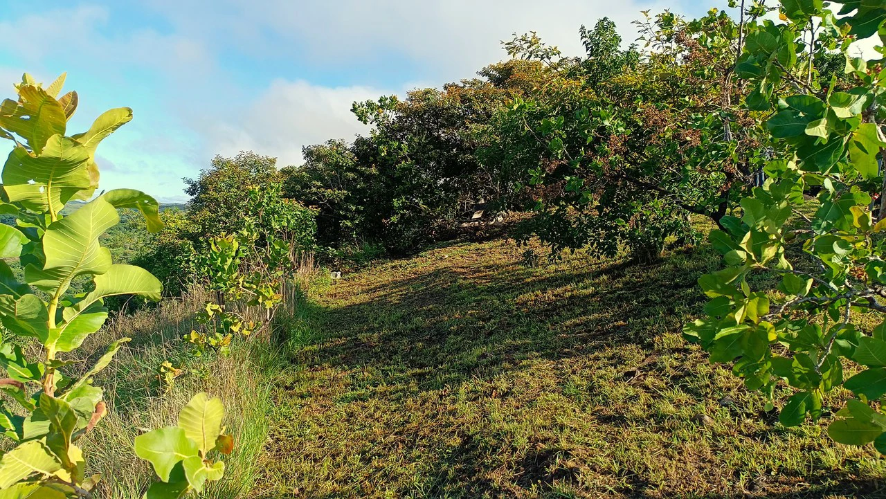 Hill top house with amazing sunset views GB0125: Peaceful Retreat with developing Potential: Property with 2 Homes and Panoramic Views in Guayabo de Bagaces - Gallery image 30