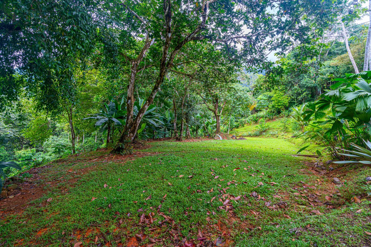 Cascada Sandalo Jaw Dropping Ocean Views!: Mountain House For Sale in Tres Rios - Gallery image 28