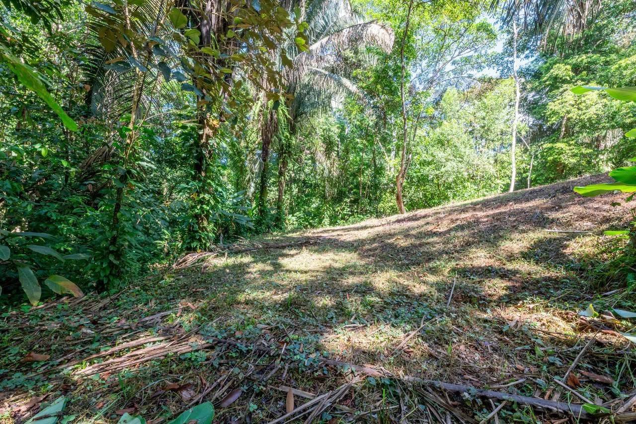 Surfers Paradise! Two Usable Lots for Building in Playa Hermosa Near Uvita!!: Mountain Home Construction Site For Sale in Playa Hermosa - Gallery image 17