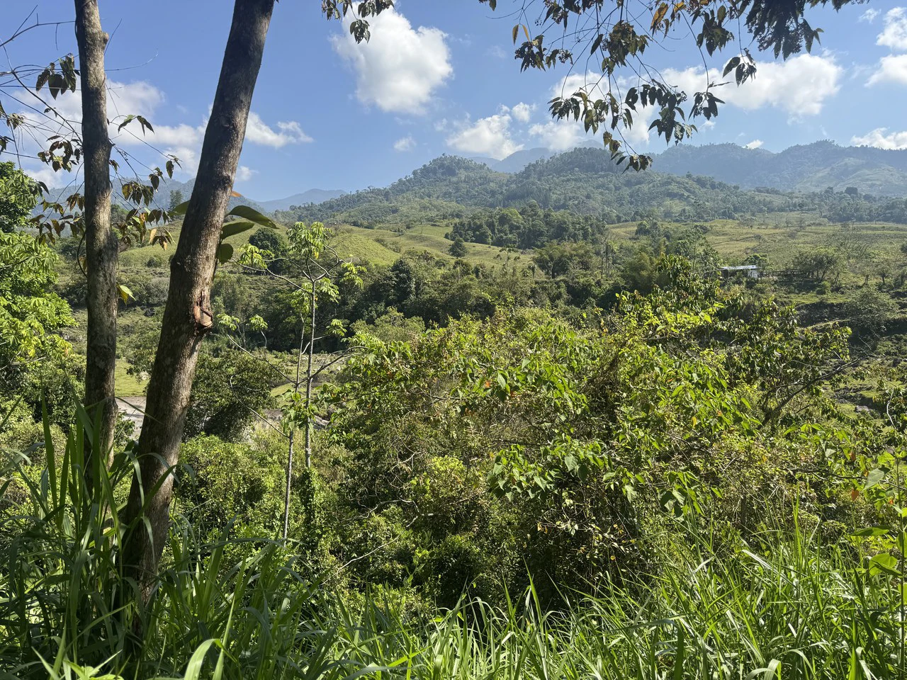 8 Acre Riverfront Sanctuary in San Pedrito Pérez Zeledón - Gallery image 19
