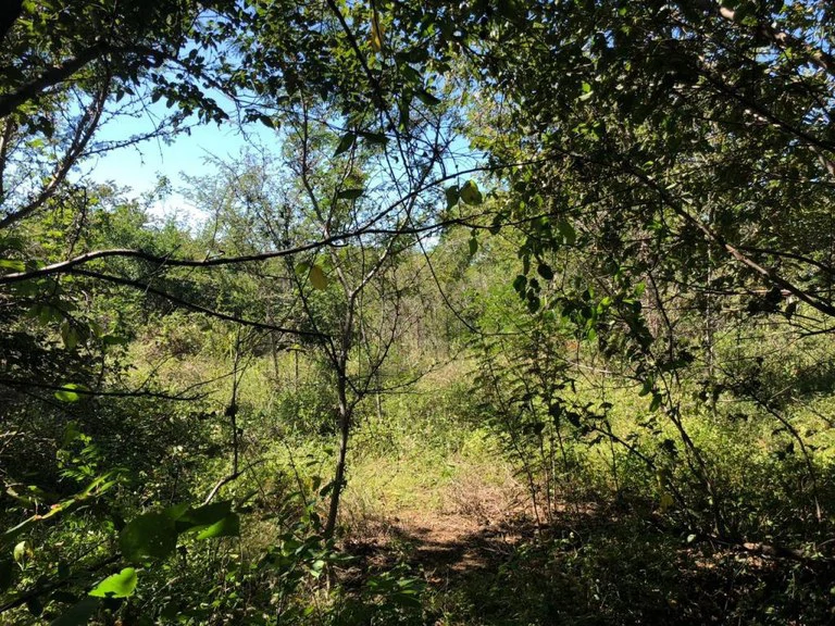 HIGHWAY TO HEAVEN: Commercial potential ! Large property on the Panamerican Highway. - Gallery image 13
