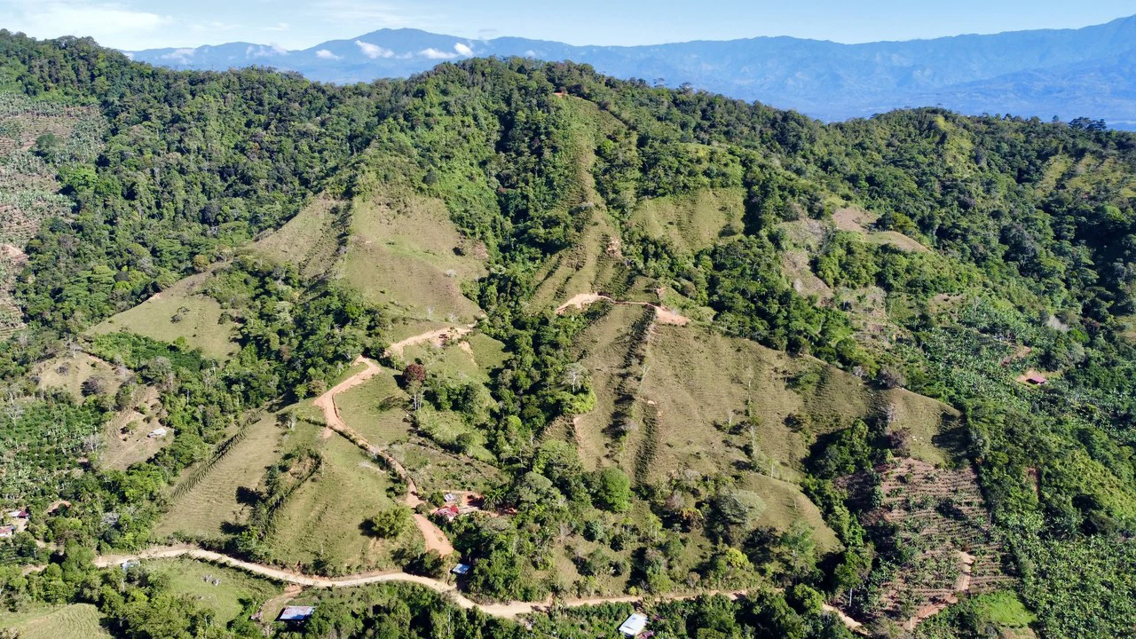 Finca Ceibo Memo: Mountain Home Construction Site For Sale in San Isidro del General - Gallery image 24