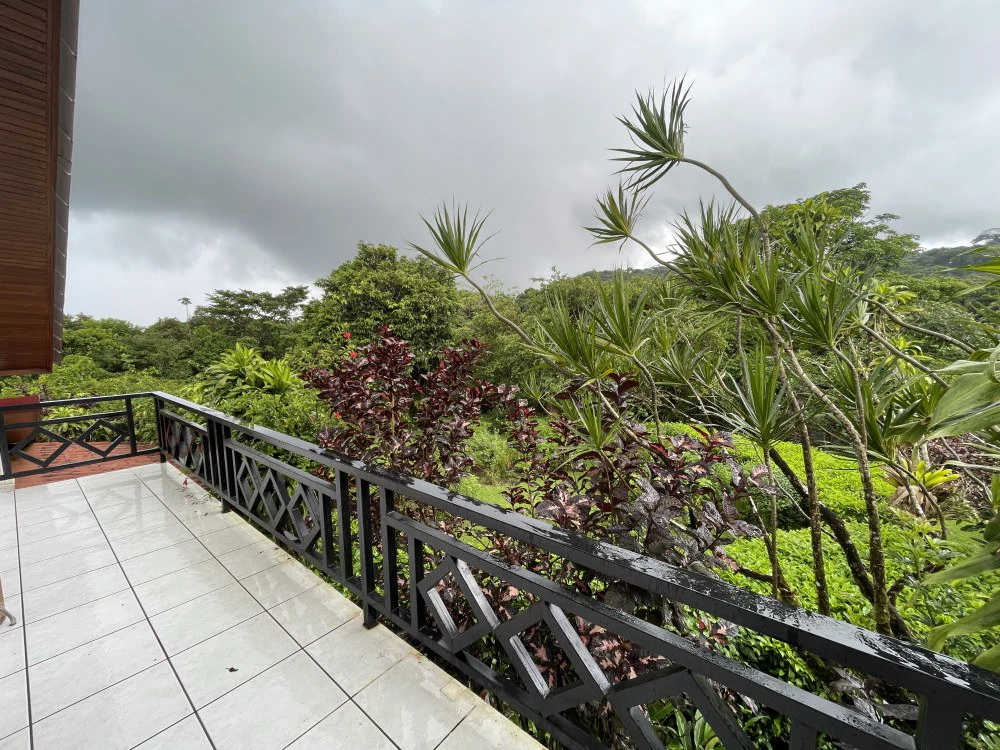 Nuevo arenal: Looking for a Property to Develop Family Residences with Lake Views? - Gallery image 13