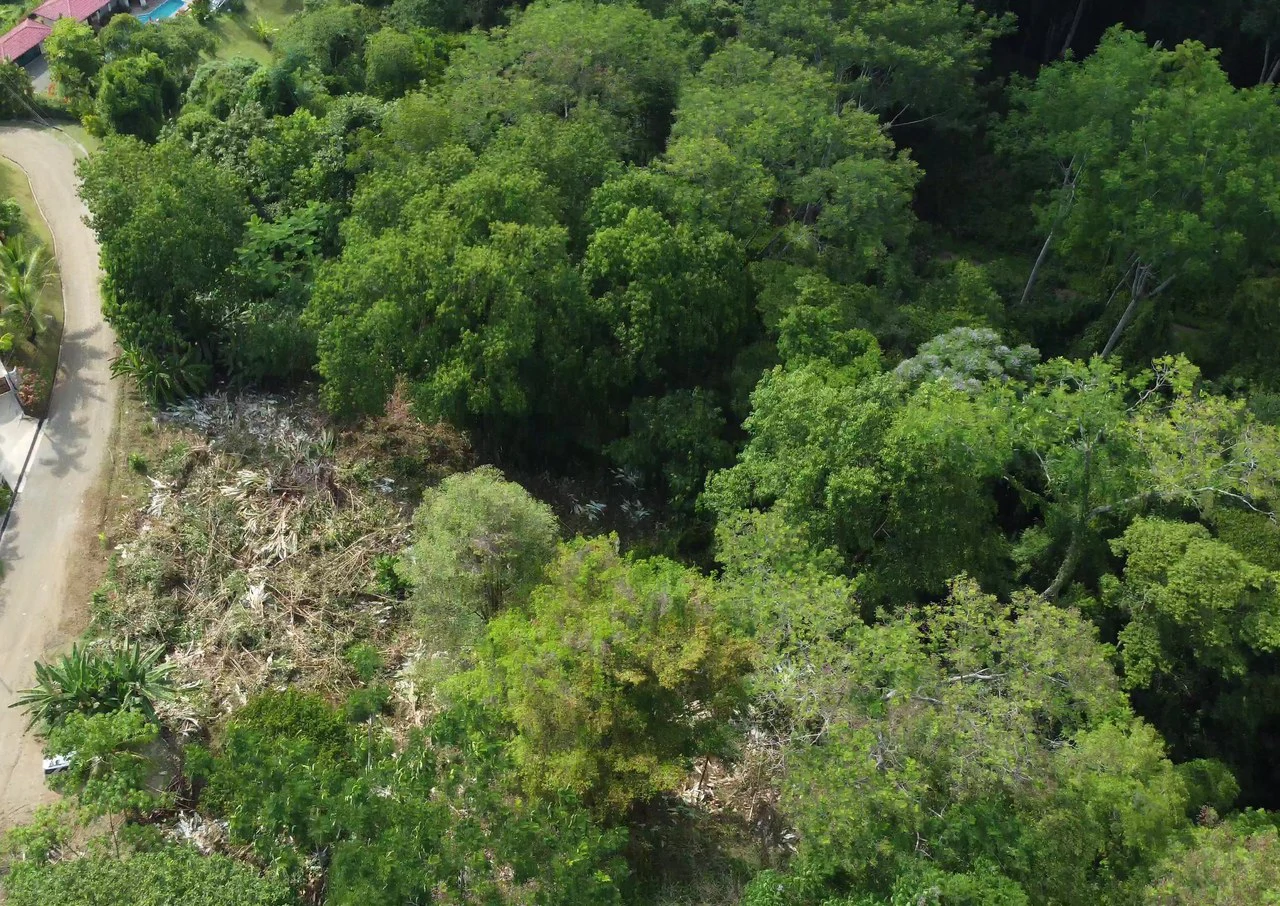 Ojochal - 1 Acre Ready To Build Jungle Lot, Ocean Breezes in Wildlife Corridore - Gallery image 4