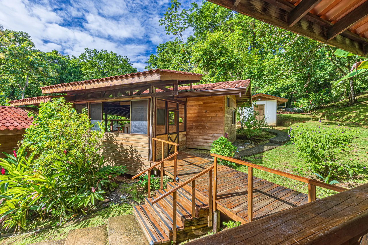 A Jungle House Built of Wood & River Dreams - Gallery image 17