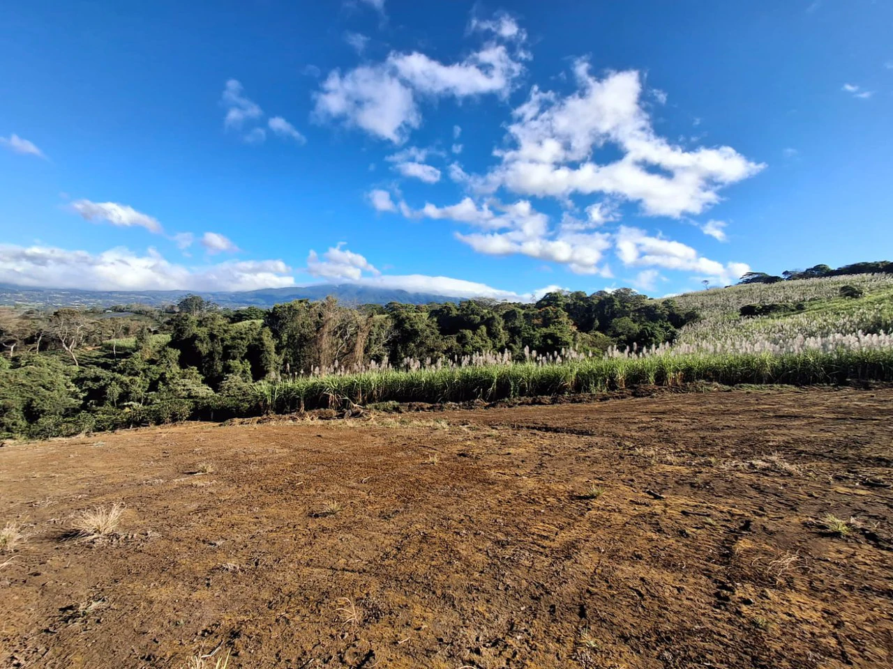 Panoramic Peaceful Escape...: 6,110 m2 with Unobstructed City Views! - Gallery image 8