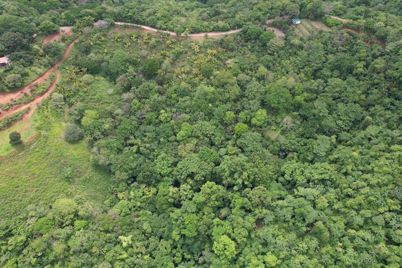 Lotes Paraíso: Spectacular Ocean and Mountain View 5.77 acres Development Land - Gallery image 2