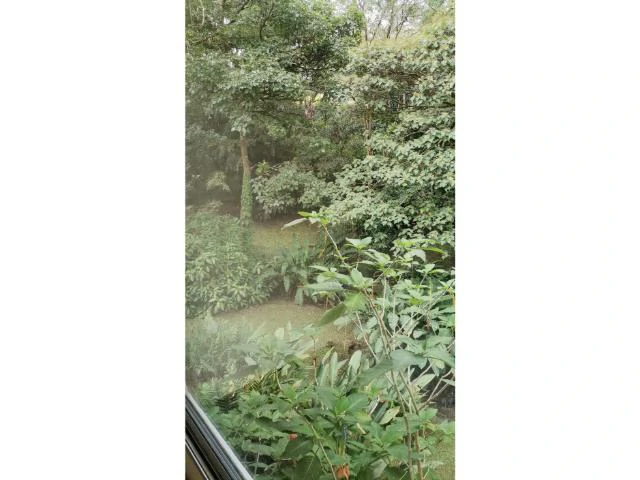Countryside, Lakefront and Mountain House For Sale in Arenal - Gallery image 31