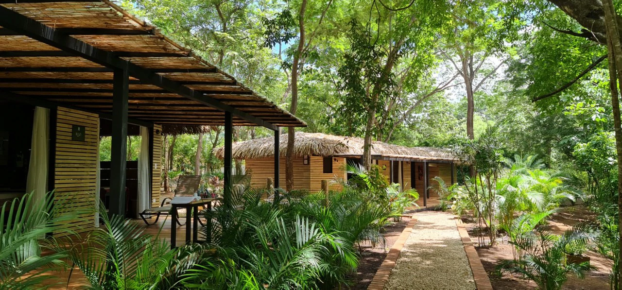 Successful Wellness and Spa with restaurant: One Of A Kind, Successful Wellness, Spa And Restaurant Oasis Close To Tamarindo - Gallery image 32