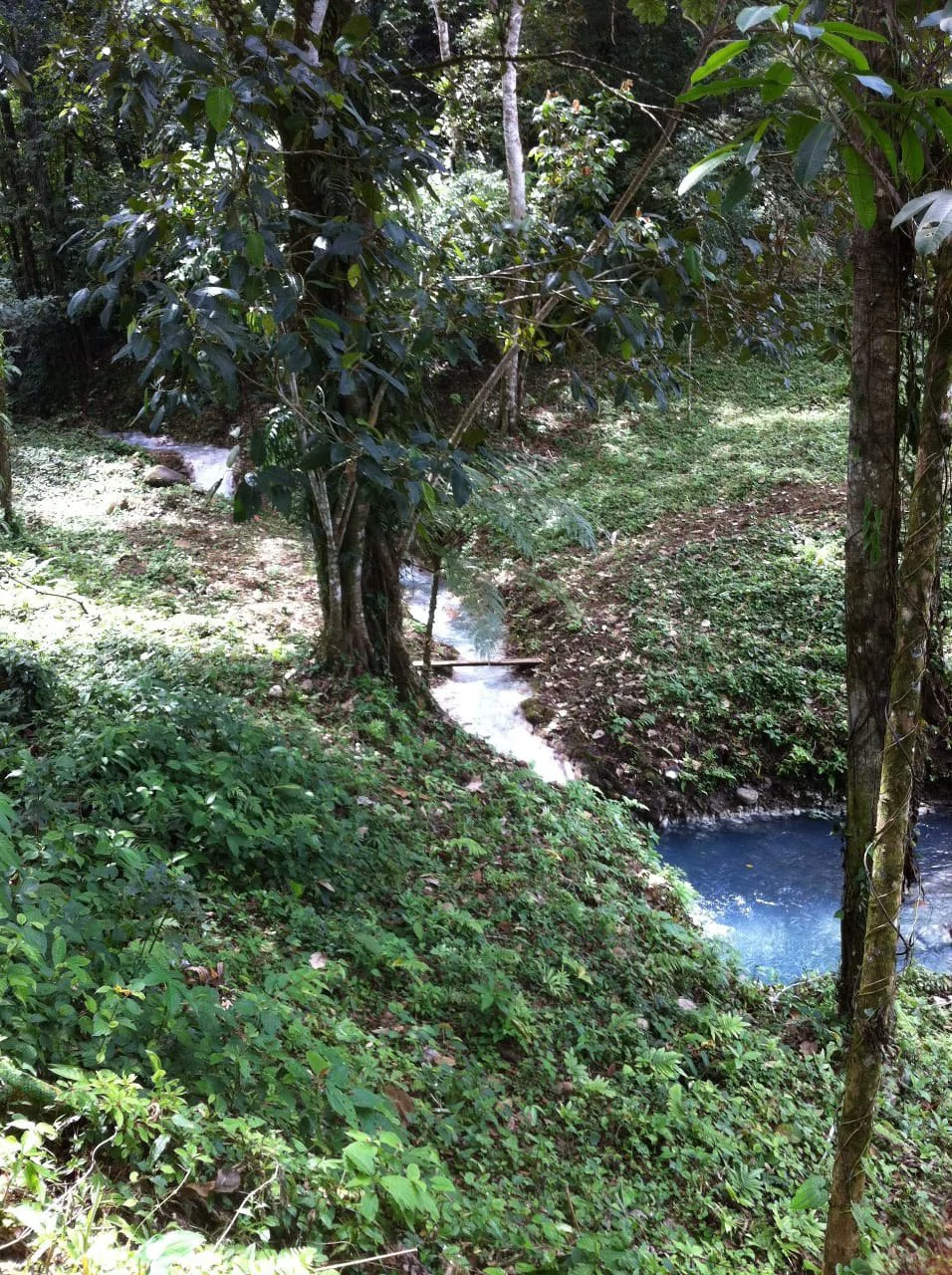 Cold & Hot springs surrounded by an overgrown farm, taken back by nature - Gallery image 72