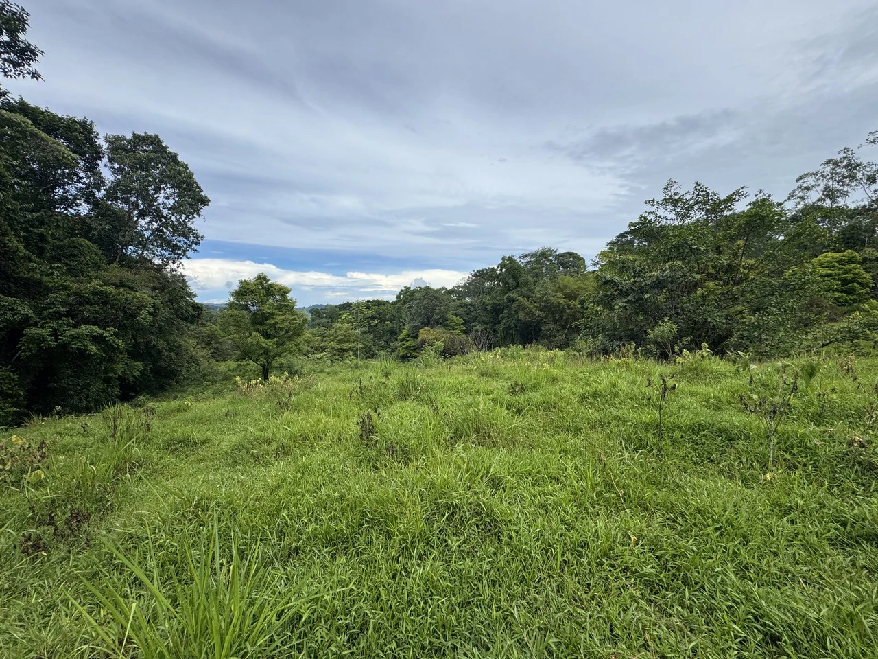 19 Acre Riverfront Lot with Private Waterfall la Perla Dominical - Gallery image 10