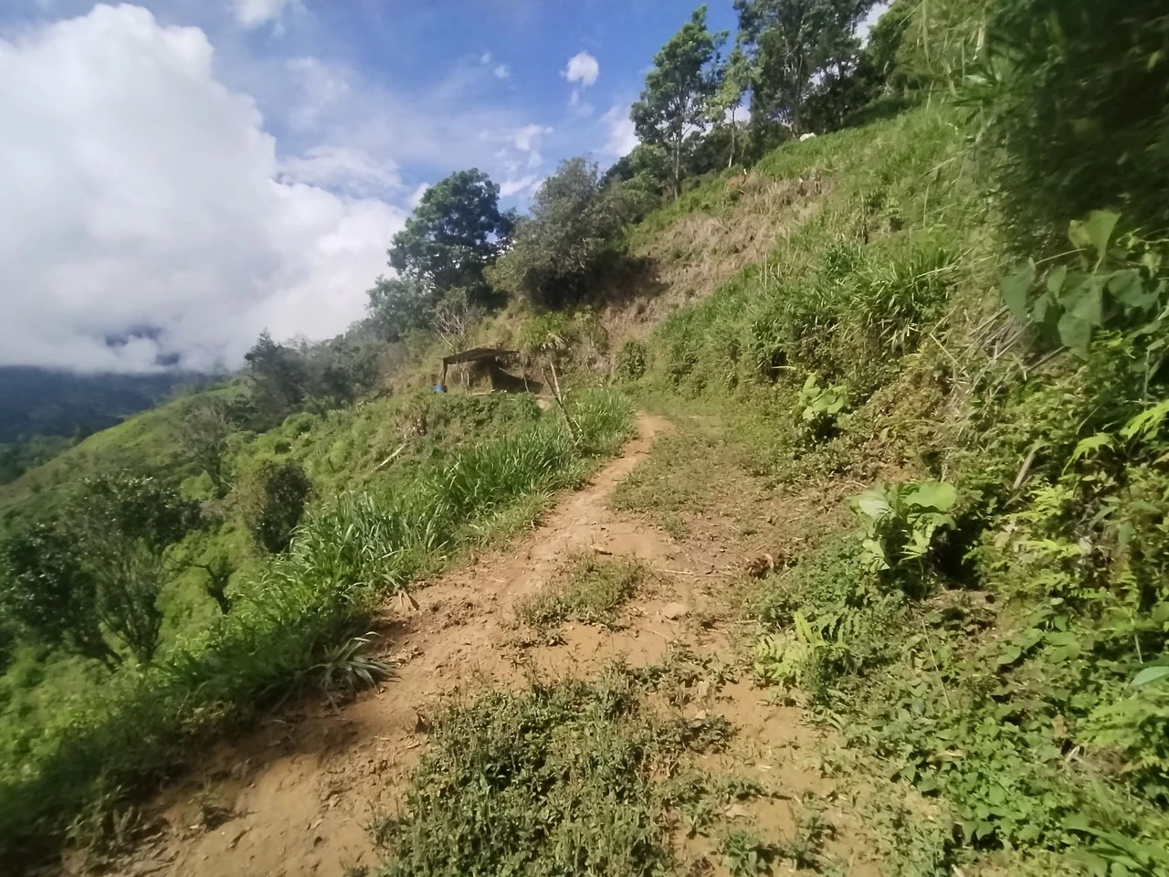 LOTE EN HERRADURA RIVAS.: Mountain Agricultural Land For Sale in San Isidro del General - Gallery image 21