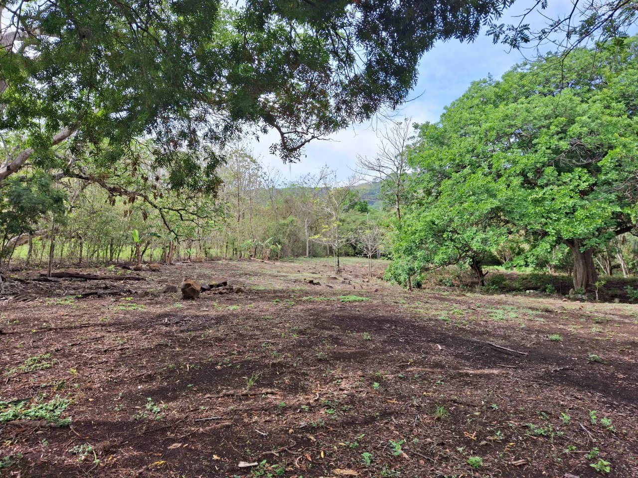 Finca Nature: Beautiful Private Finca near Atenas! - Gallery image 6