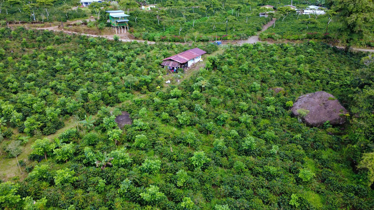 Countryside Agricultural Land For Sale in Santa Elena de San Isidro - Gallery image 5