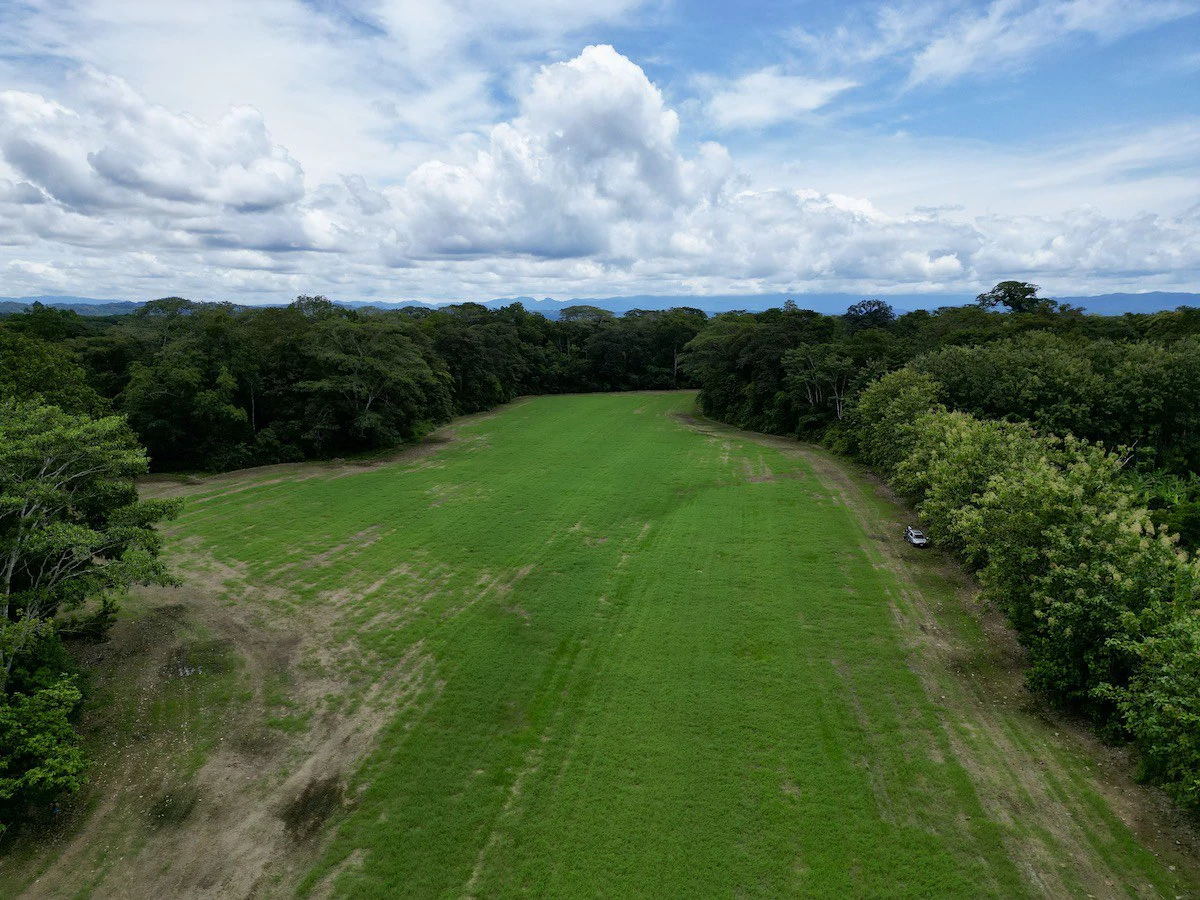 Tropical Farmland 21 Acres - Gallery image 3