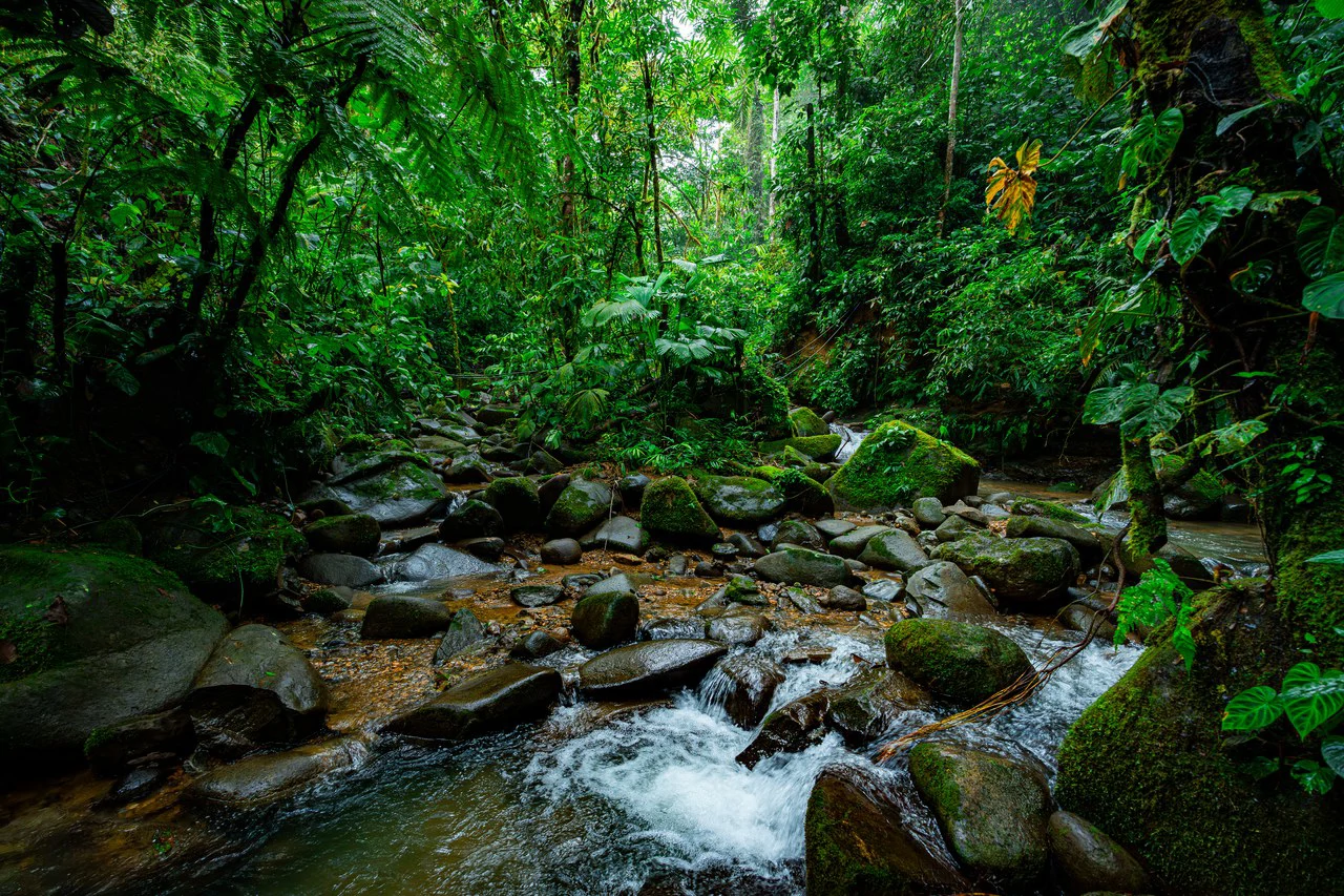 Riverfront Sanctuary with Breathtaking Views of Diamante Waterfalls - Gallery image 24