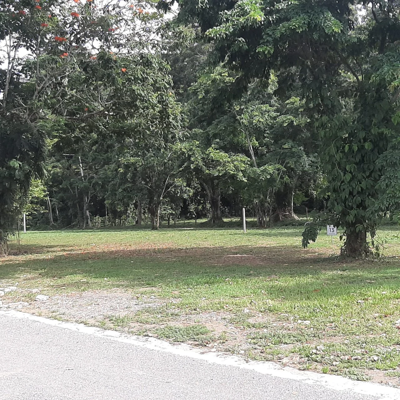 2000sqm lots close to the coast available now - Gallery image 3