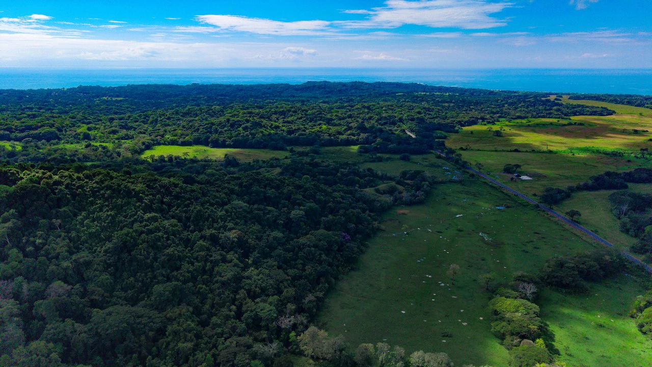 4,850 Acre Beachfront Legacy Ranch Esterillos Central Pacific Coast - Gallery image 15