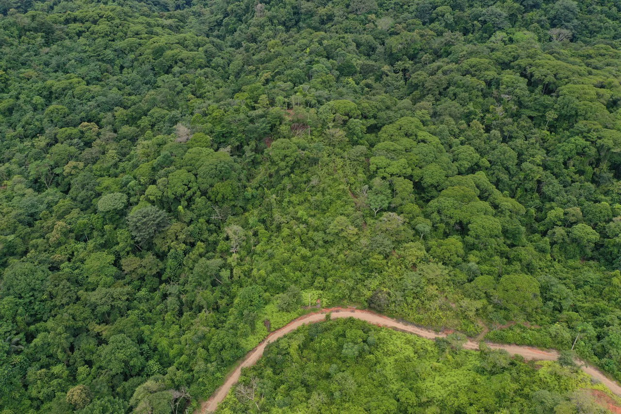 23.5 Acre Waterfall & Riverfront Estate Bahia Ballena Osa Peninsula - Gallery image 3