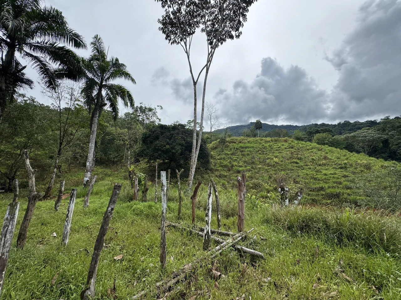 19 Acre Riverfront Lot with Private Waterfall la Perla Dominical - Gallery image 6