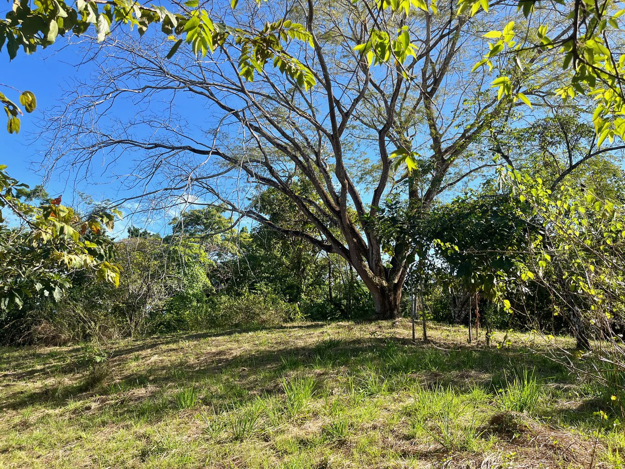 4000m2 Ready to Build Lot in Delicias: Partial Ocean Views in Great Neighorhood