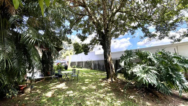 Casa Pinares: Rare 0.30-Acre Sprawling Garden Estate in Pinares, Curridabat | 1,241 m² Lot with Mature Trees, Protected Forest Views & 5,380 Sq. Ft. Build - photo 3