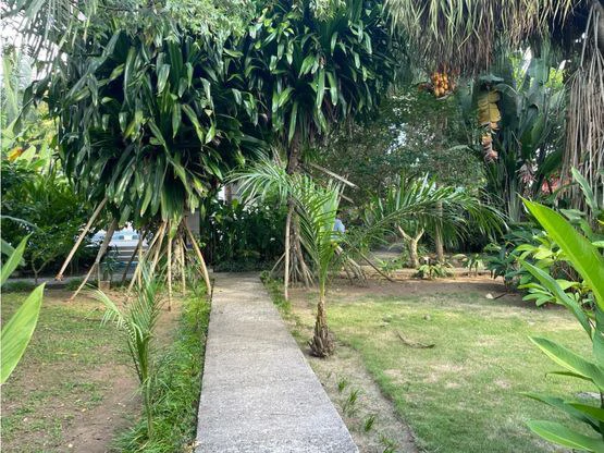 Tropical Garden Hotel Downtown Jaco - Gallery image 34