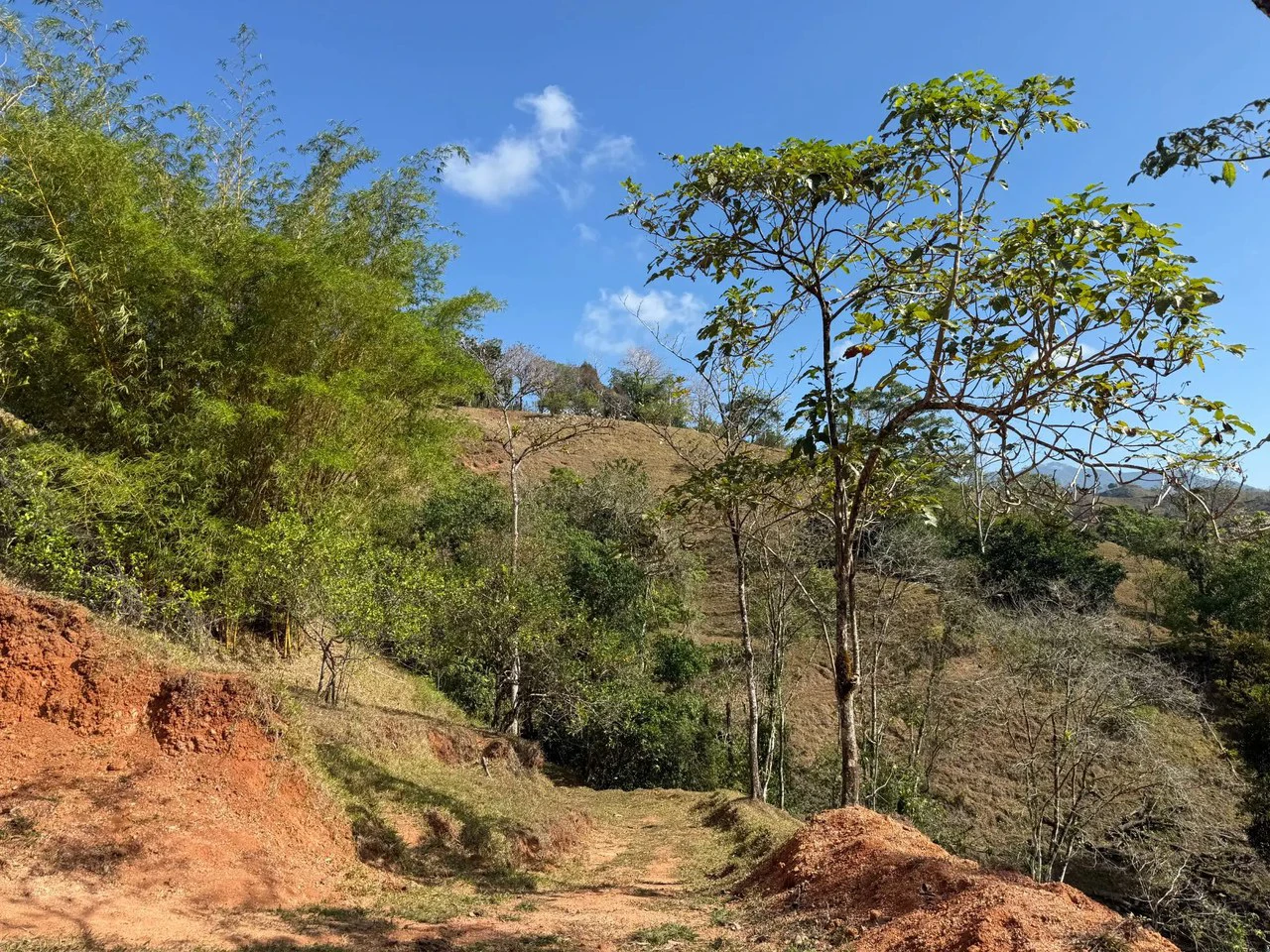 11.4 Hectare Mountain Estate: Lush Forest, River & Farm Potential in Arenal Puriscal , San Jose - Gallery image 21