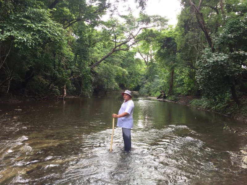Farm in Nicoya. Reforestation. Cattle Raising. Recreation. - Gallery image 8