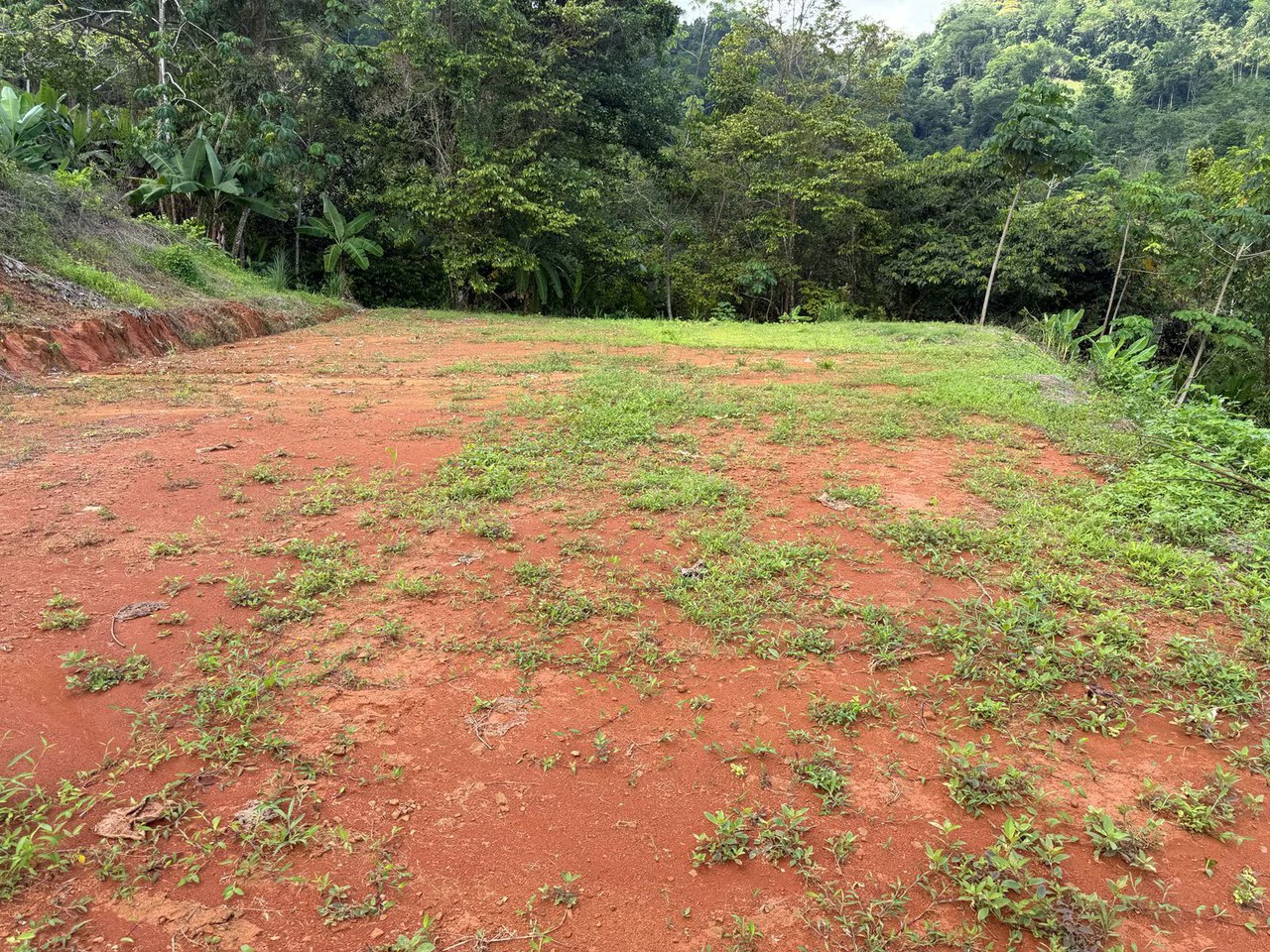 Near the Coast Home Construction Site For Sale in Pavon - Gallery image 3