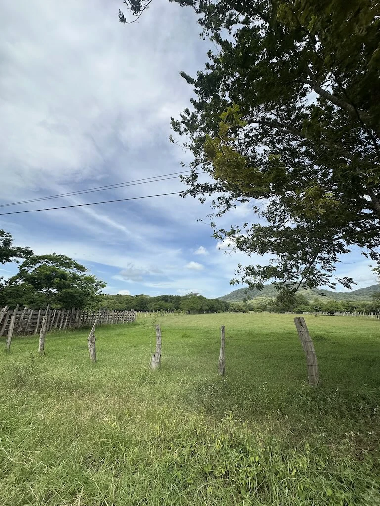Finca La Fabiola: 4-Hectare Property in Santa Cruz, Guanacaste - photo 11