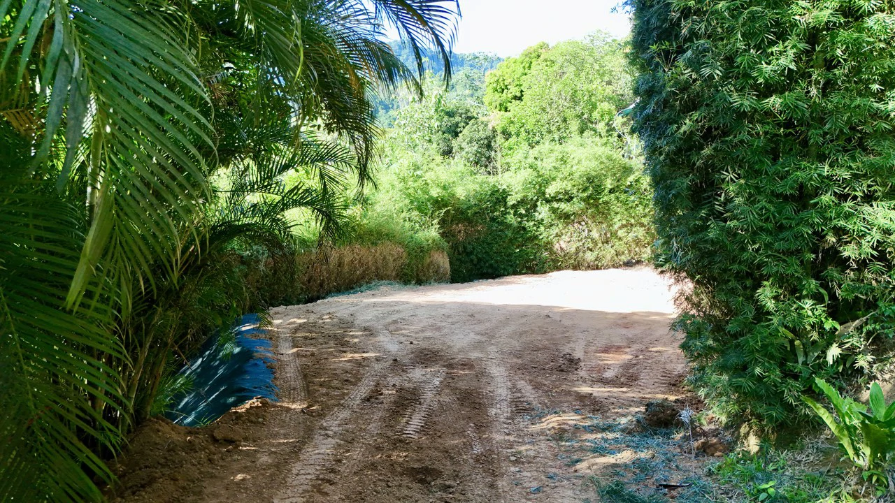 Great Opportunity Well-Located Lot in Playa Hermosa - Gallery image 5