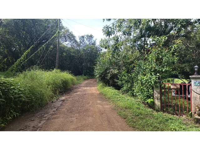 Tamarindo horse farm with two houses, a barn in the best natural setting