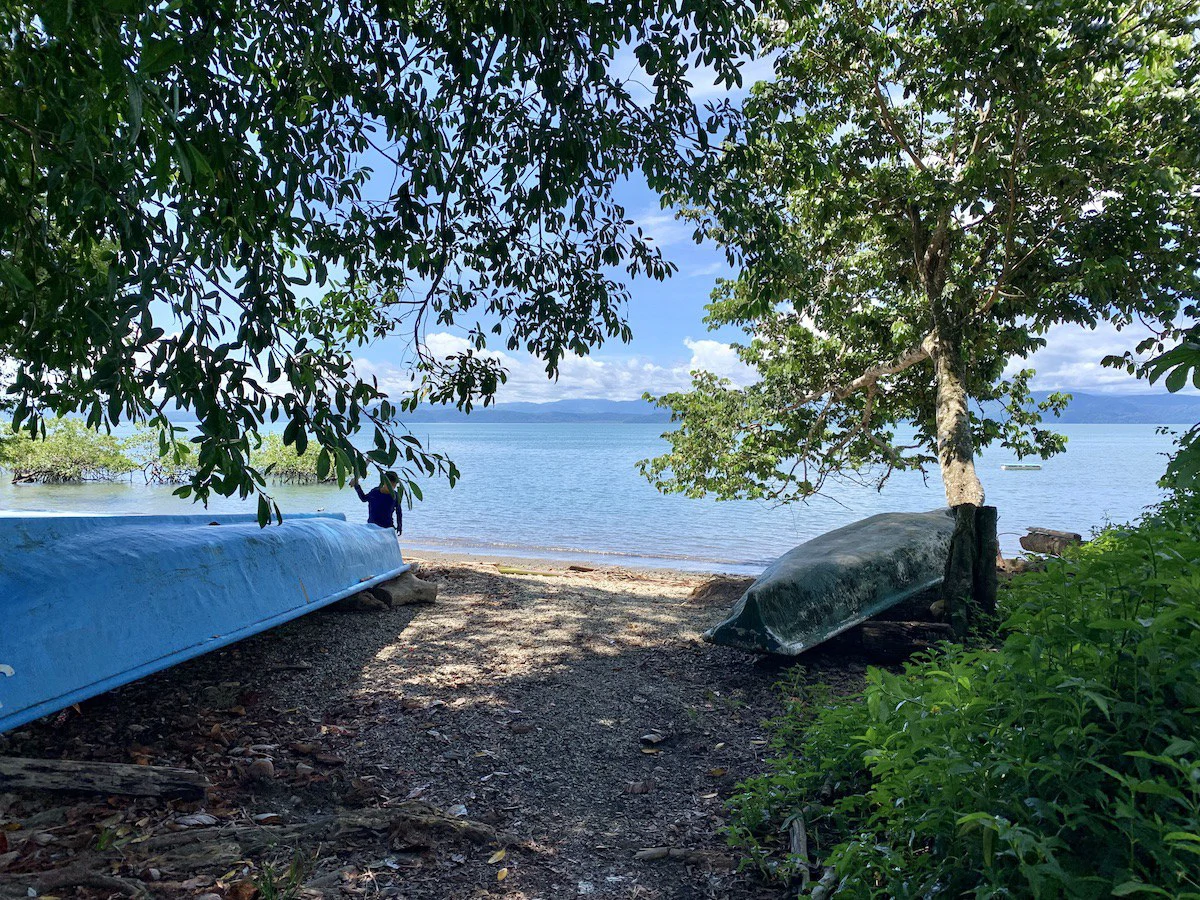 Titled Property Near The Golfo Dulce Coast - Gallery image 12