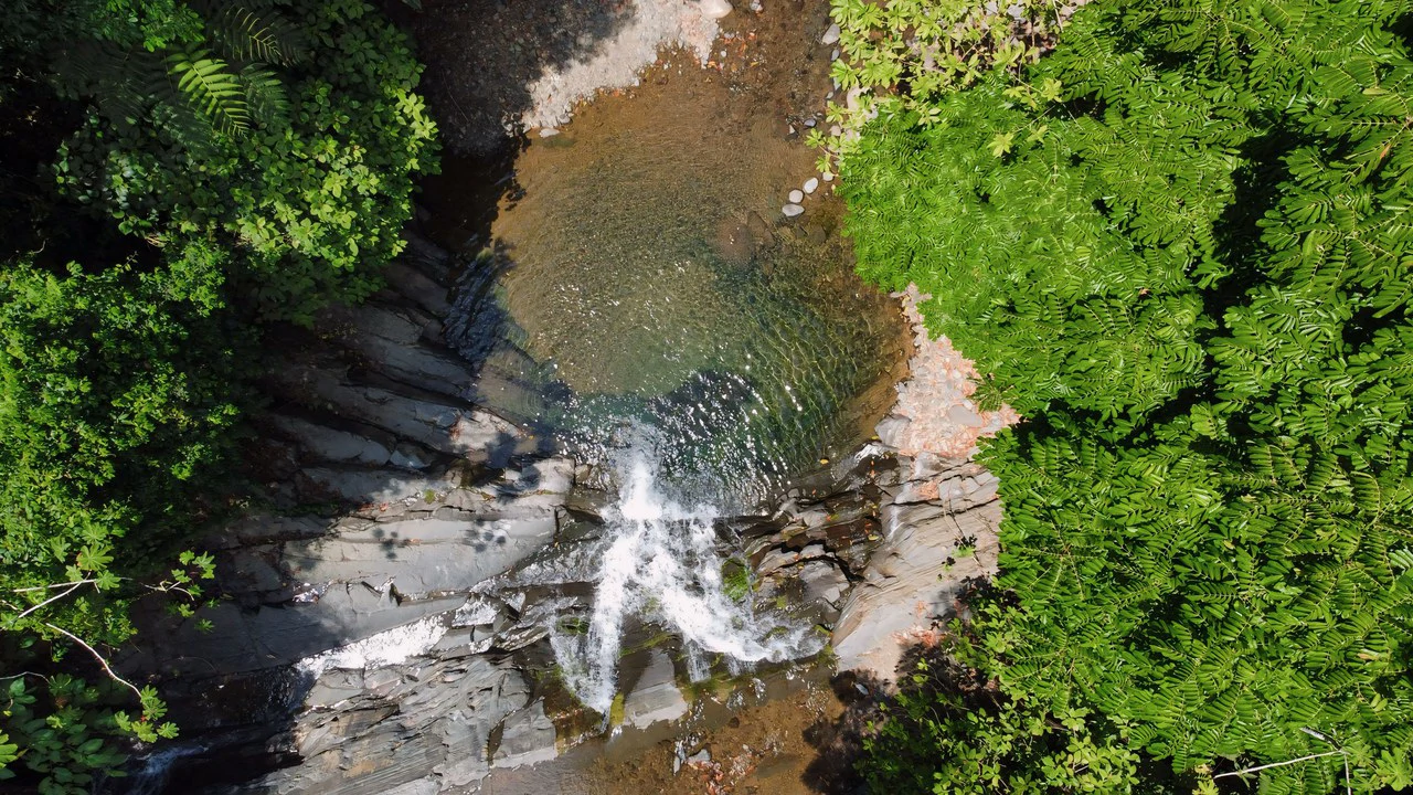 FINCA CERRO DEL TIGRE! OVER 20 ACRES OF PRIMARY FOREST AND WATERFALLS.: Mountain Agricultural Land For Sale in La Unión - Gallery image 2