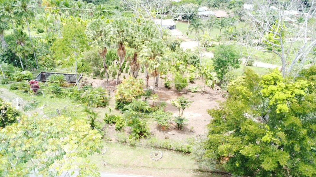 Propiedad en La Bonita Emma-137480: Mountain and Countryside Home Construction Site For Sale in San Isidro del General - Gallery image 10